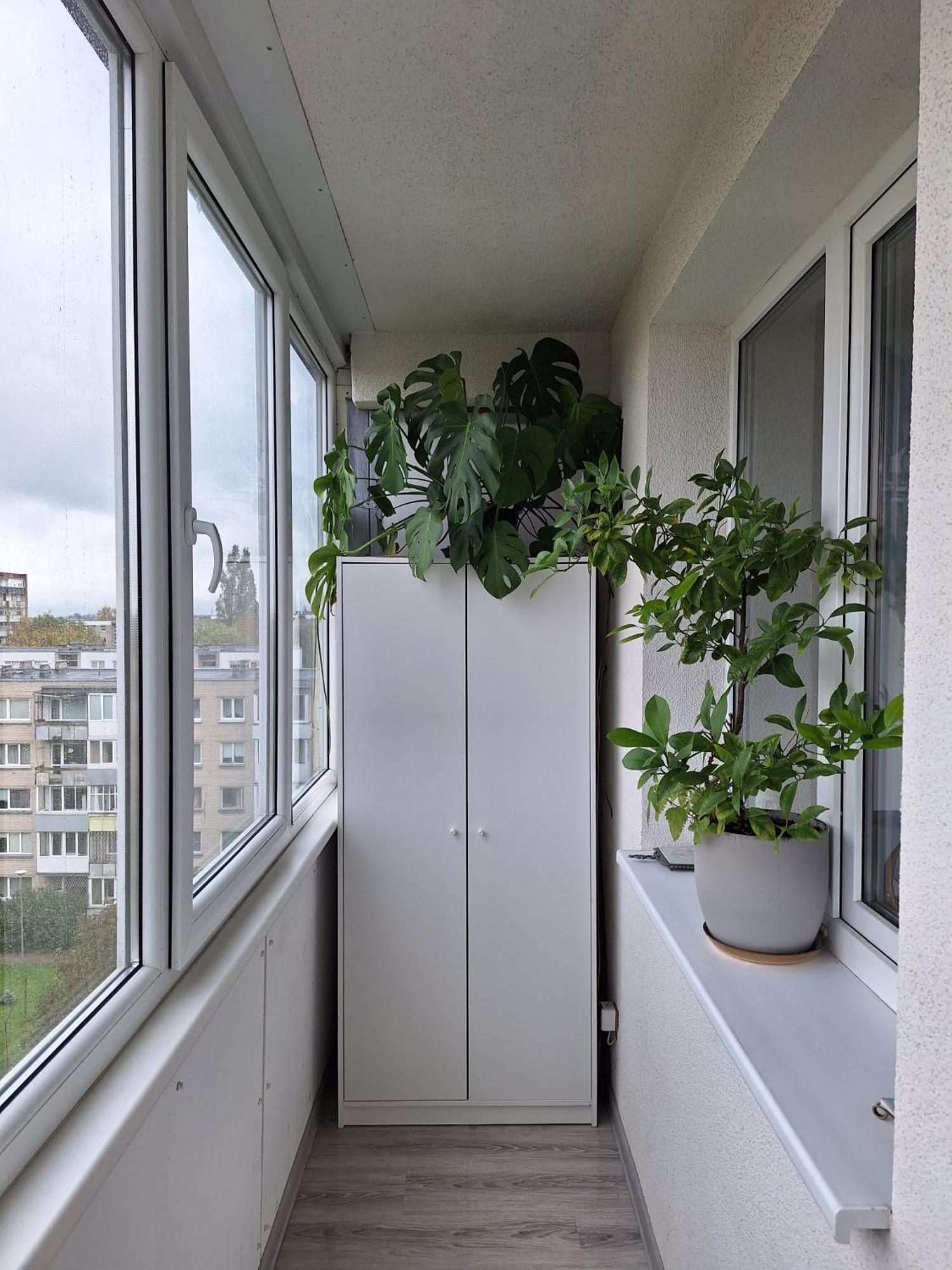 Debreceno-Park Apartments Klaipėda Exterior foto